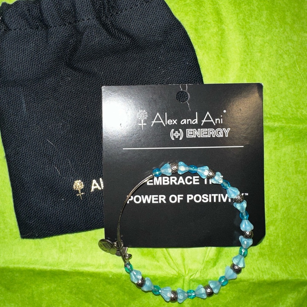 New Alex and Ani adjustable bracelet